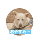 ふくちゃんふくちゃん（個別スタンプ：6）