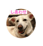 ふくちゃんふくちゃん（個別スタンプ：12）