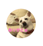 ふくちゃんふくちゃん（個別スタンプ：14）