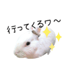 しろいうさぎ姫と、時々くろとたぬき（個別スタンプ：5）