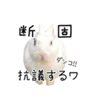 しろいうさぎ姫と、時々くろとたぬき（個別スタンプ：22）