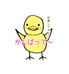 黄色のひよこのスタンプ（個別スタンプ：8）