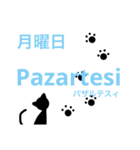 黒猫のトルコ語＆日本語：月や曜日等（個別スタンプ：24）