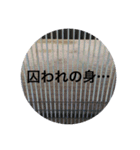サラリーマンの日常の声（個別スタンプ：7）