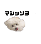 るるの1日（個別スタンプ：3）