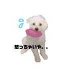 るるの1日（個別スタンプ：22）