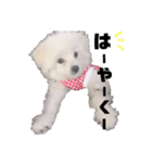 るるの1日（個別スタンプ：25）