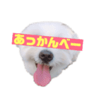 るるの1日（個別スタンプ：32）