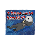 海のセールスマン（個別スタンプ：35）