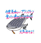 海のセールスマン（個別スタンプ：37）
