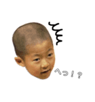 小松弁カンフー少年.G（個別スタンプ：5）