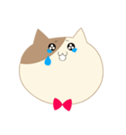 蝶ネクタイをつけたねこ（個別スタンプ：32）