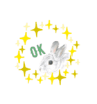 うさぎ リアル rirapiripaku1（個別スタンプ：9）