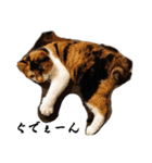 もふぽわ animal 2（個別スタンプ：2）