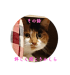 もふぽわ animal 2（個別スタンプ：3）