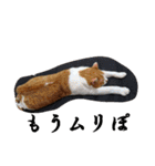 もふぽわ animal 2（個別スタンプ：4）