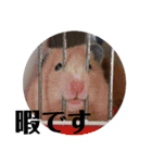 もふぽわ animal 2（個別スタンプ：7）