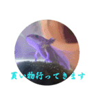 もふぽわ animal 2（個別スタンプ：21）