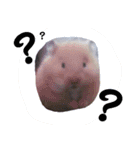 もふぽわ animal（個別スタンプ：6）