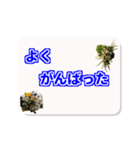 相手を応援する言葉（個別スタンプ：3）