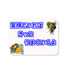 相手を応援する言葉（個別スタンプ：6）