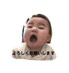 しばスタ♪ 2（個別スタンプ：2）