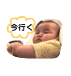 しばスタ♪ 2（個別スタンプ：6）