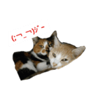 こばんちゃん1（個別スタンプ：7）