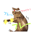 こつぶスタンプ〜ときどき関西弁編〜（個別スタンプ：11）