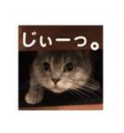 こつぶスタンプ〜ときどき関西弁編〜（個別スタンプ：17）