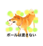 毎日使ってほしい柴犬とまのスタンプ（個別スタンプ：28）