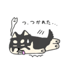 いつもベロが出ている癒し系チワワラピ（個別スタンプ：14）
