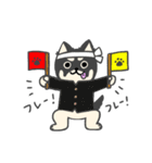 いつもベロが出ている癒し系チワワラピ（個別スタンプ：34）