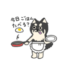いつもベロが出ている癒し系チワワラピ（個別スタンプ：40）