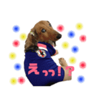 犬のチョコたち（個別スタンプ：9）