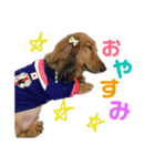 犬のチョコたち（個別スタンプ：13）