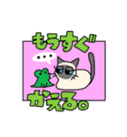 たけだ家の猫たち。たまに犬。（個別スタンプ：4）