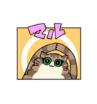たけだ家の猫たち。たまに犬。（個別スタンプ：9）