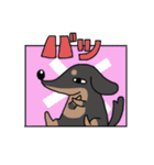 たけだ家の猫たち。たまに犬。（個別スタンプ：10）