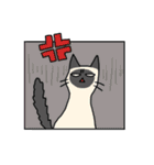 たけだ家の猫たち。たまに犬。（個別スタンプ：13）