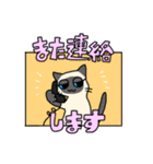 たけだ家の猫たち。たまに犬。（個別スタンプ：20）