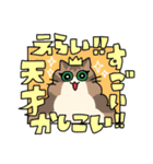 たけだ家の猫たち。たまに犬。（個別スタンプ：25）