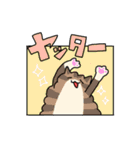 たけだ家の猫たち。たまに犬。（個別スタンプ：37）