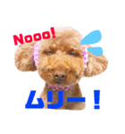 我が家のアイドルむぅたん❤️（個別スタンプ：9）