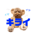 我が家のアイドルむぅたん❤️（個別スタンプ：13）
