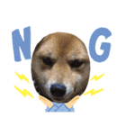 犬 犬 犬（個別スタンプ：19）