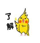 オカメインコのおーちゃん（個別スタンプ：1）