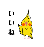 オカメインコのおーちゃん（個別スタンプ：2）