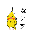 オカメインコのおーちゃん（個別スタンプ：3）