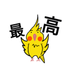 オカメインコのおーちゃん（個別スタンプ：4）